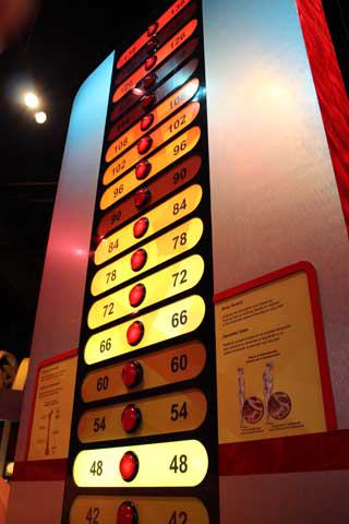 The Health Museum